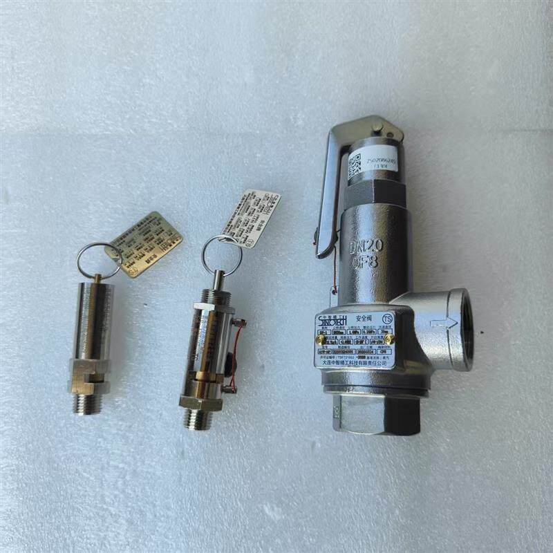 山东新华医疗灭菌器用DN15/20/25大连中智精工A17W-16P安全阀0.28