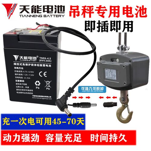6V4ah5a7ah12ah电子秤吊秤地磅秤台秤电子称电瓶电动玩具童车电池