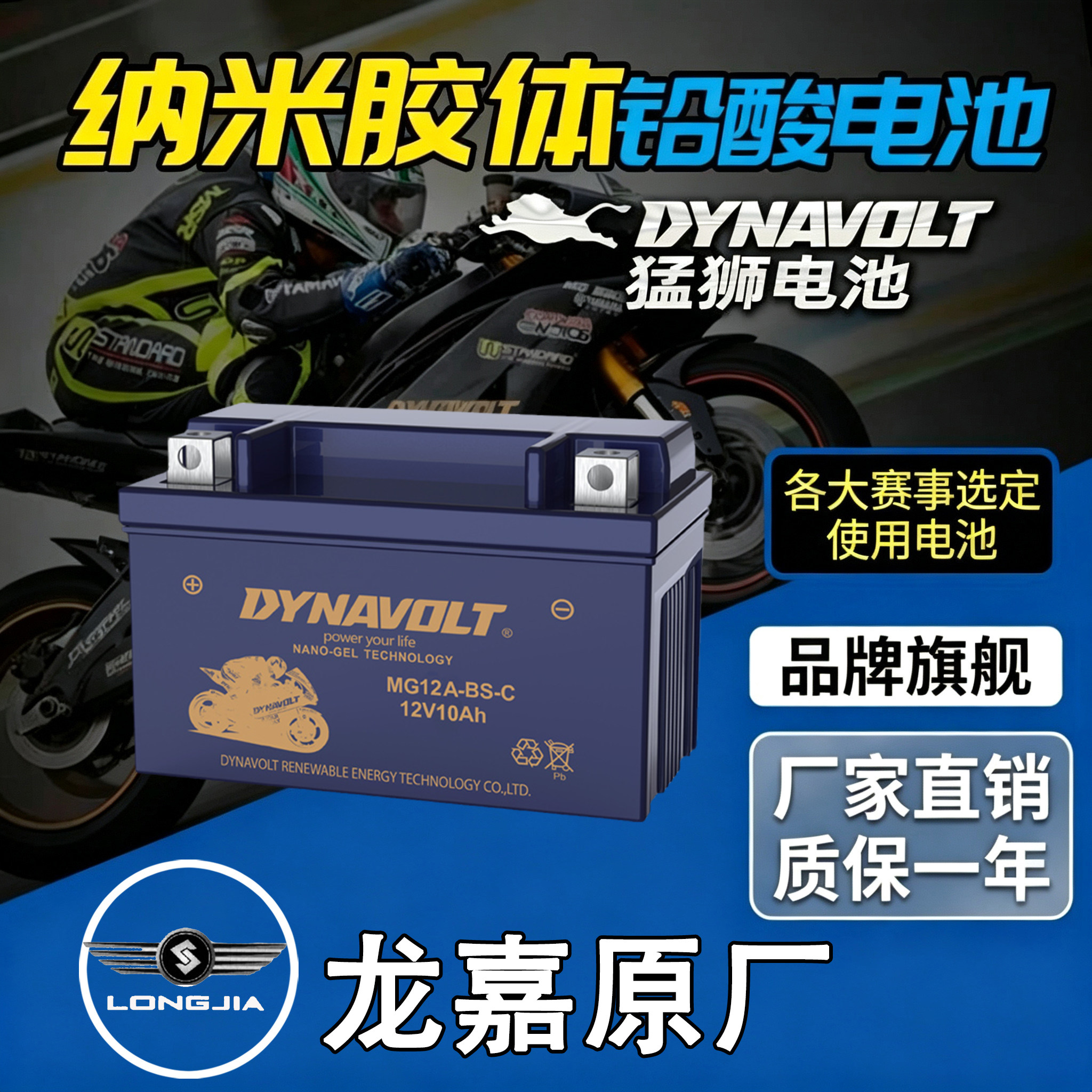 龙嘉V咖250iVMAX300ie电瓶