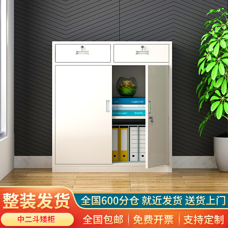 二斗矮柜文件柜铁皮柜财务凭证柜抽屉储物柜a4档案柜办公室资料柜
