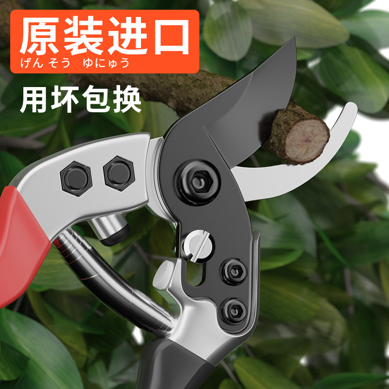 日本原材料进口修枝剪园艺剪树枝专用剪刀花艺修剪剪花剪子果树