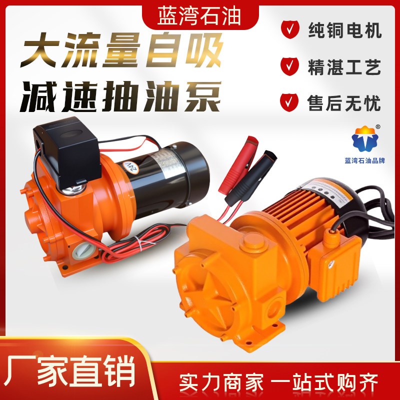 减速抽油泵大功率电动抽油机12V/24V/220V大流量纯铜电机静音泵
