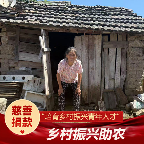 【慈善捐款】巴渝乡村 唤醒计划 培育乡村振兴青年人才 公益活动