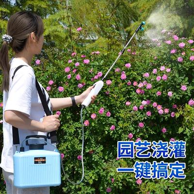 电动喷雾器喷自动高压喷壶家用喷药农具机喷枪小型喷洒器农用电动