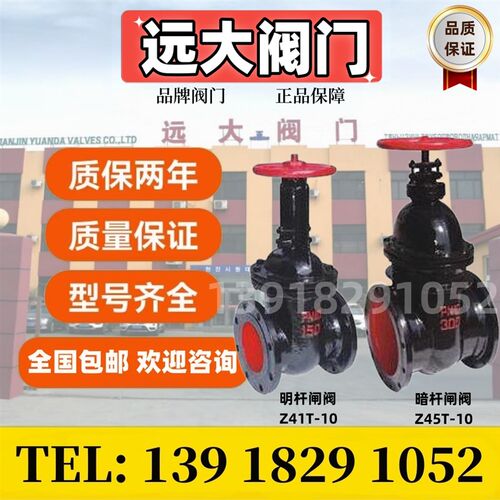 远大阀门铸铁明暗杆楔式闸阀Z45T-10黑色铁铜芯自来水排污Z41T-16