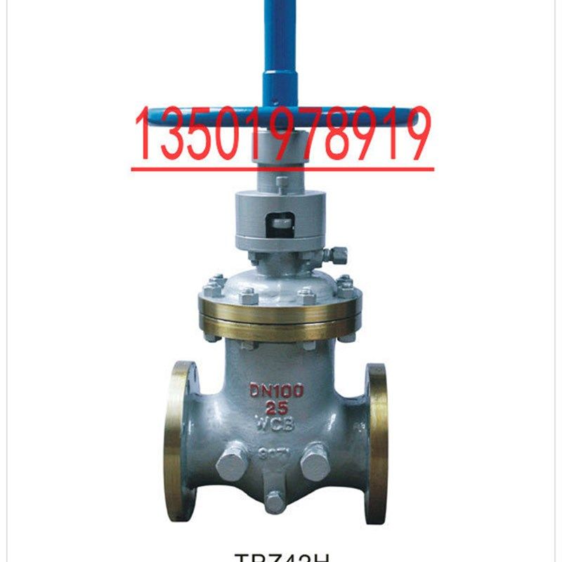 TPZ42HY-16C 自动调平油封闸阀DN20 50 100 150 200 65 80 32 40