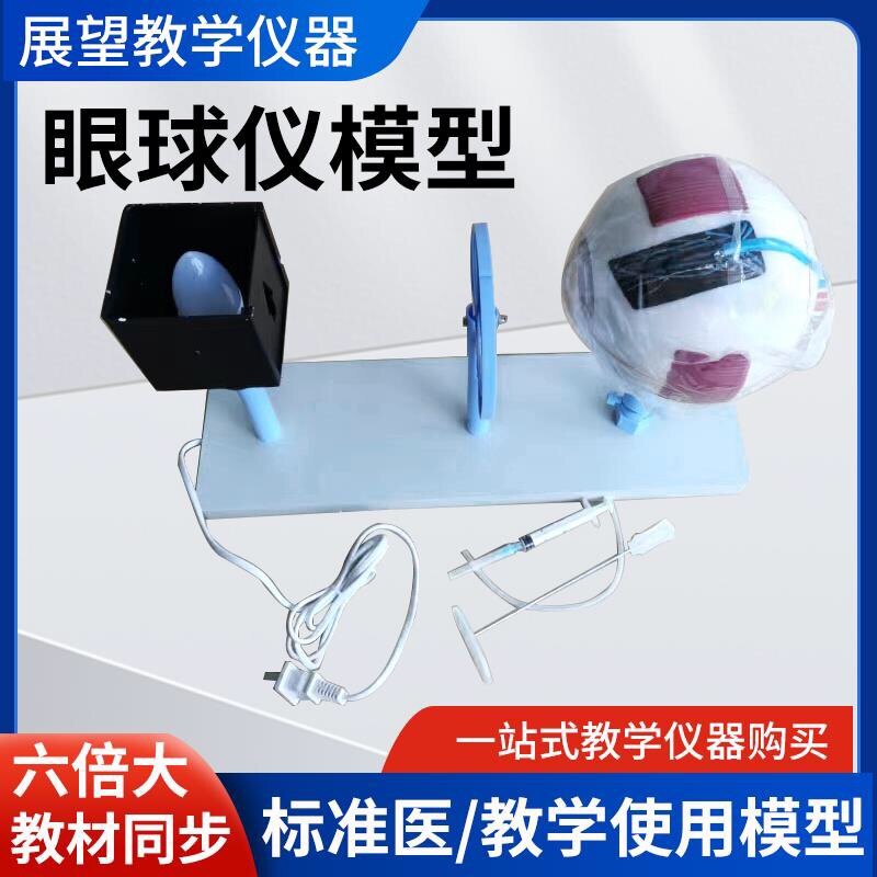 眼球仪模型 3303 晶状体 曲率可变 眼球成像 眼球结构 教学仪器