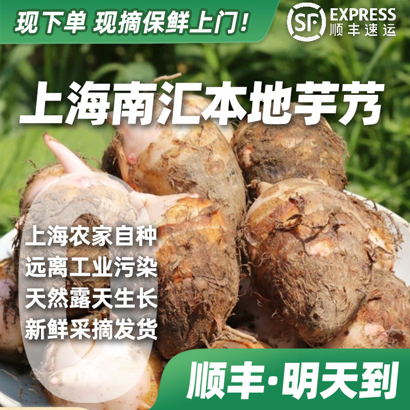 南汇本地芋奶新鲜采摘地道芋奶