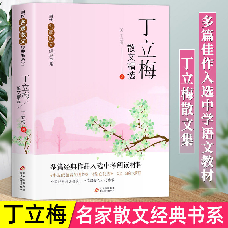 丁丽梅散文精选当代名家散文集朱儿童文学