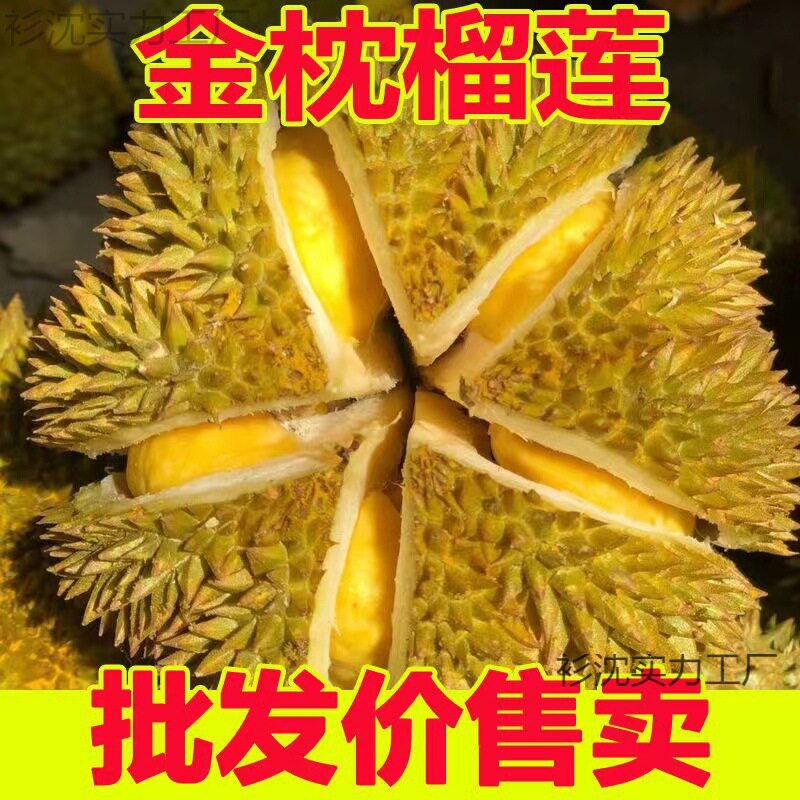 泰国金枕榴莲新鲜带壳特产应季水果现摘10斤泰国巴掌顺丰金榴莲枕