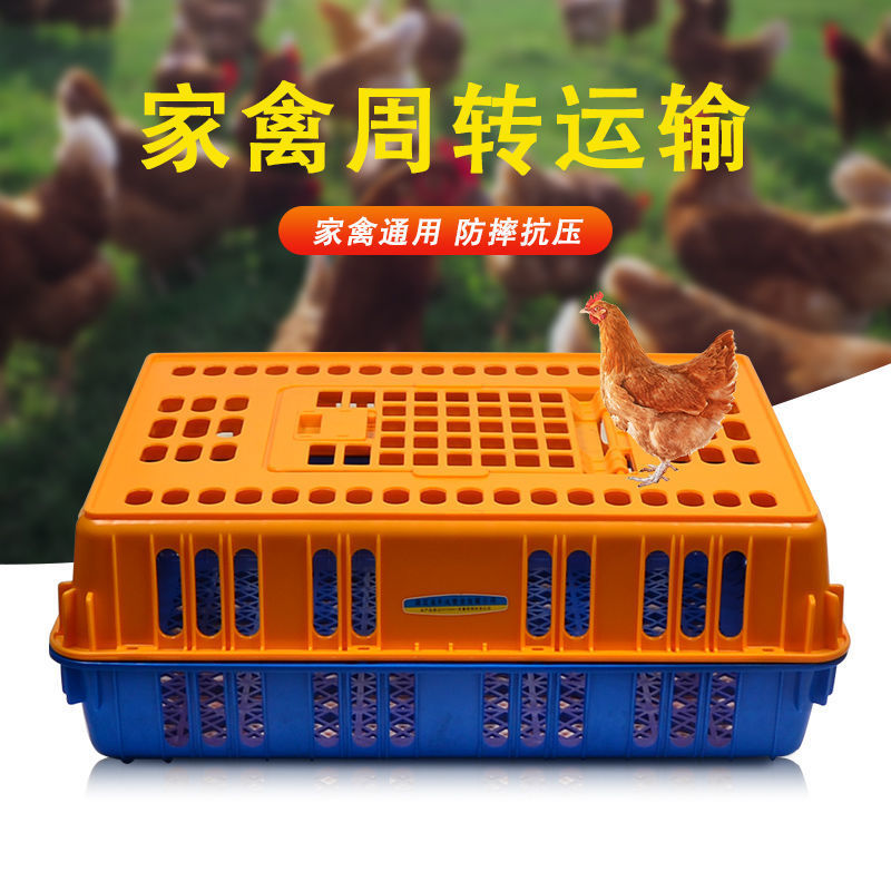 塑料鸡笼加厚周转箱大号批发家禽运输笼鸡框家用防摔成鸡鸭养殖筐