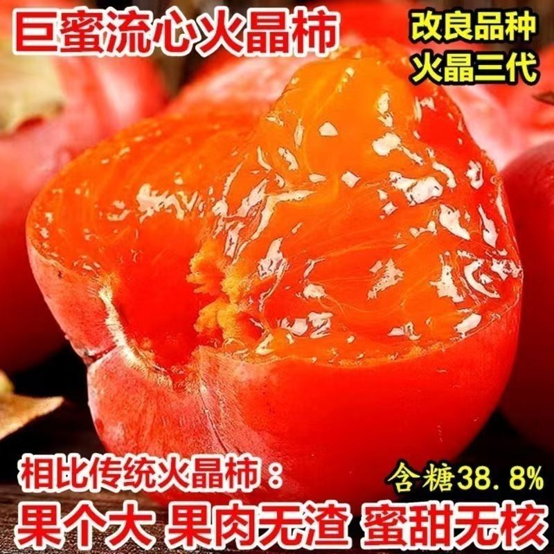 无核火晶柿子盆栽树苗冰糖图片