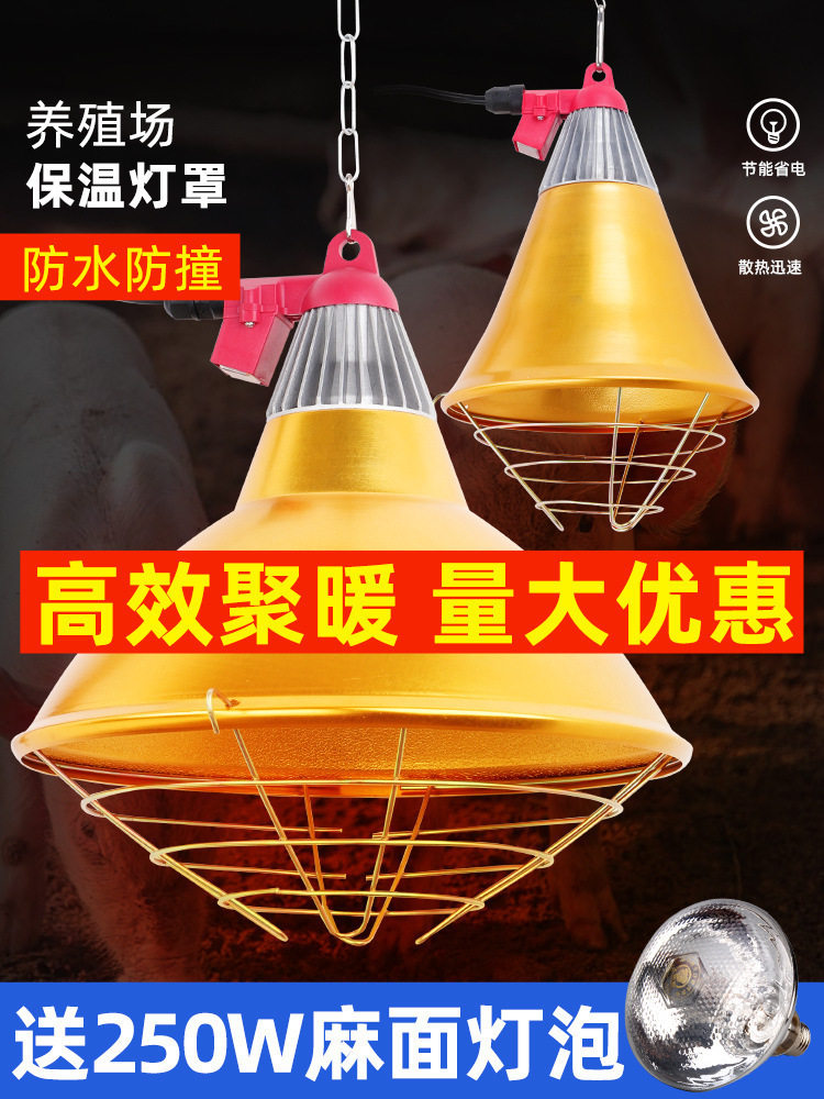 灯灯罩防水取暖灯保温灯泡灯罩养殖育雏养殖小鸡加热调温仔垒德株