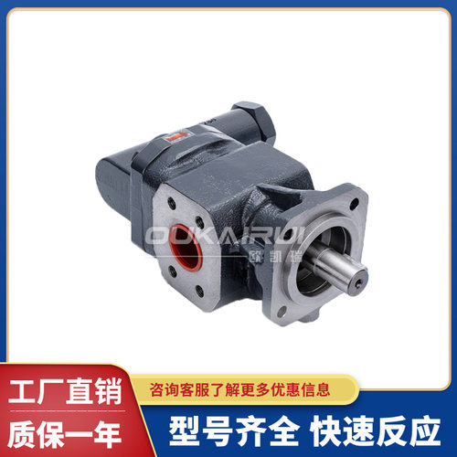 德国KRACHT克拉克齿轮泵KF50RF5 KF100LF7 KF6/20RF5-D25 KF25LF4