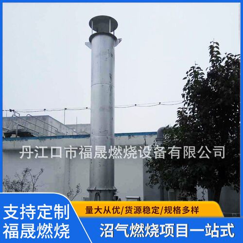 内燃式沼气燃烧器耐火抗腐蚀沼气火炬废气环保设备