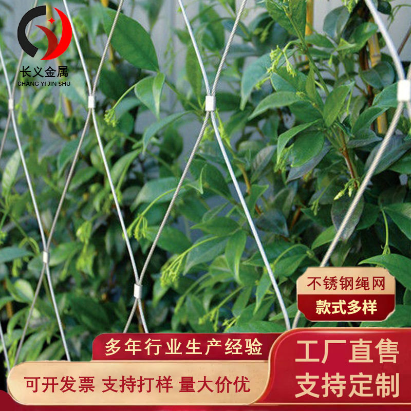 植物攀爬网304不锈钢绳网防坠网花卉园艺种植网搭架网爬藤网
