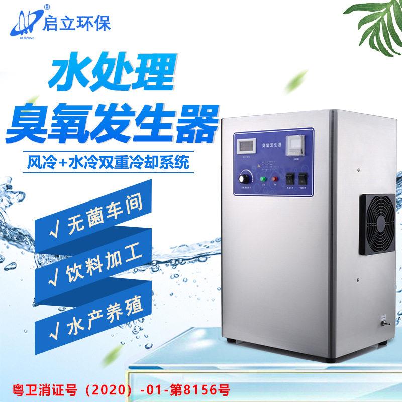 爆款启立15G饮用水处理臭氧发生器 纯净水杀菌净化臭氧消毒机泳池