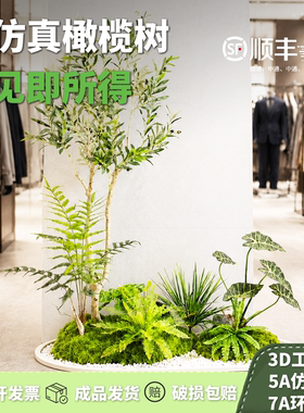 仿真绿植橄榄树服装店橱窗造景秋冬造景摆件假绿植高级感创意风