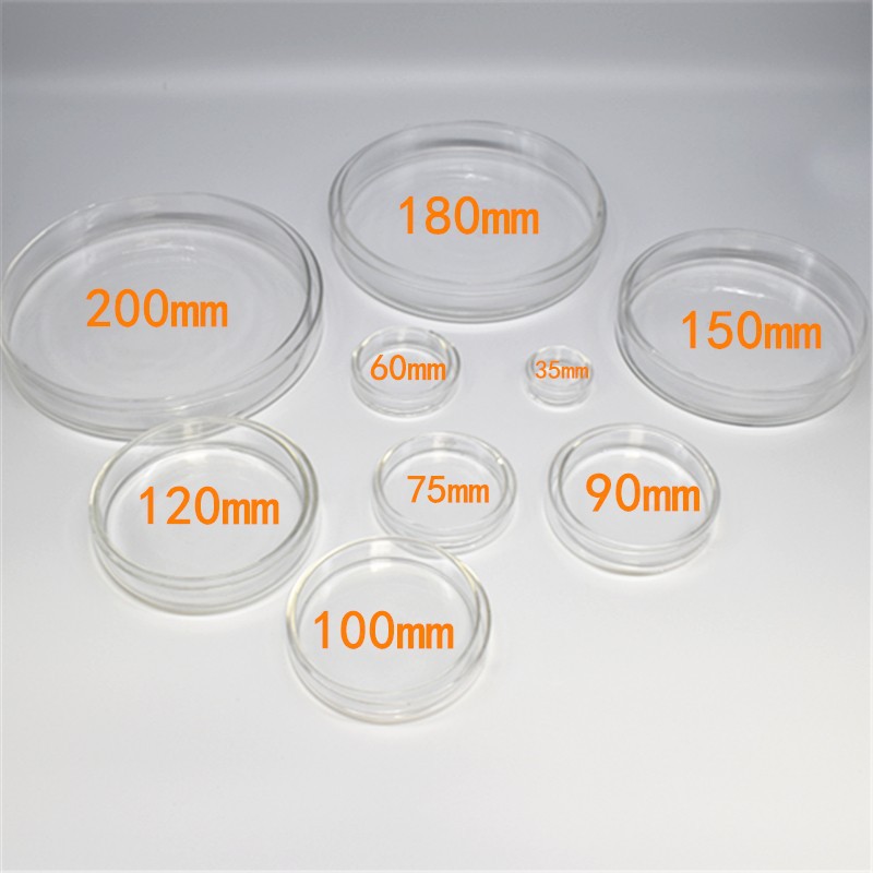高硼硅玻璃培养皿35mm/60/70/90/100/120mm实验室细菌细胞培养皿