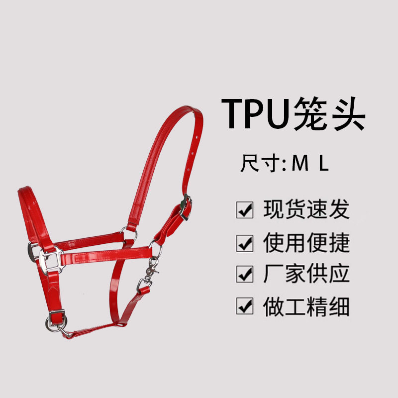TPU笼头牵马笼头牵马装备可调节耐用马术用品骑马赛马配件TPU笼头