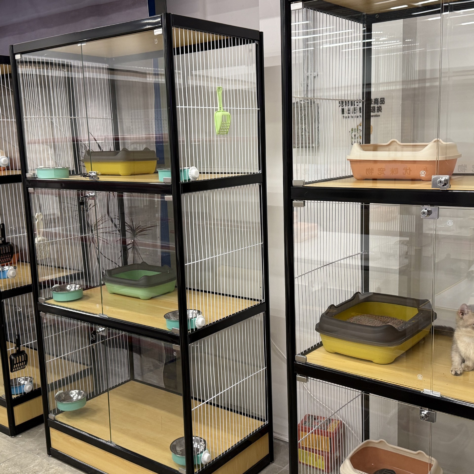 宠物店宠物展示柜狗笼猫笼多层透明玻璃展示柜猫咪寄养柜移动展柜