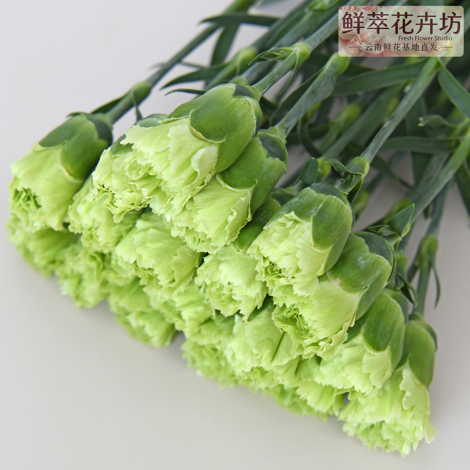 云南直发康乃馨鲜花束母亲礼物