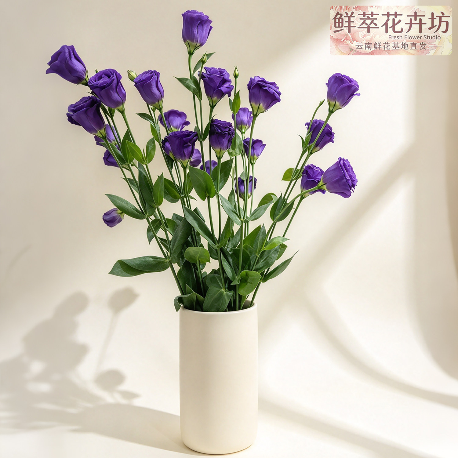 紫色洋桔梗鲜花家用插花鲜切办公室婚礼斗南基地直发花卉市场真花