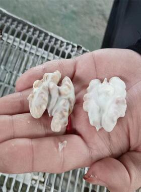 奶香核桃仁裹巧克力的机器 冻干产品涂层机 巴旦木淋可可脂机器