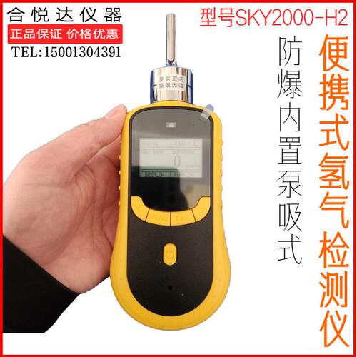 元特工业防爆便携式氢气检测报警仪SKY2000-H2内置泵吸式H2检测仪