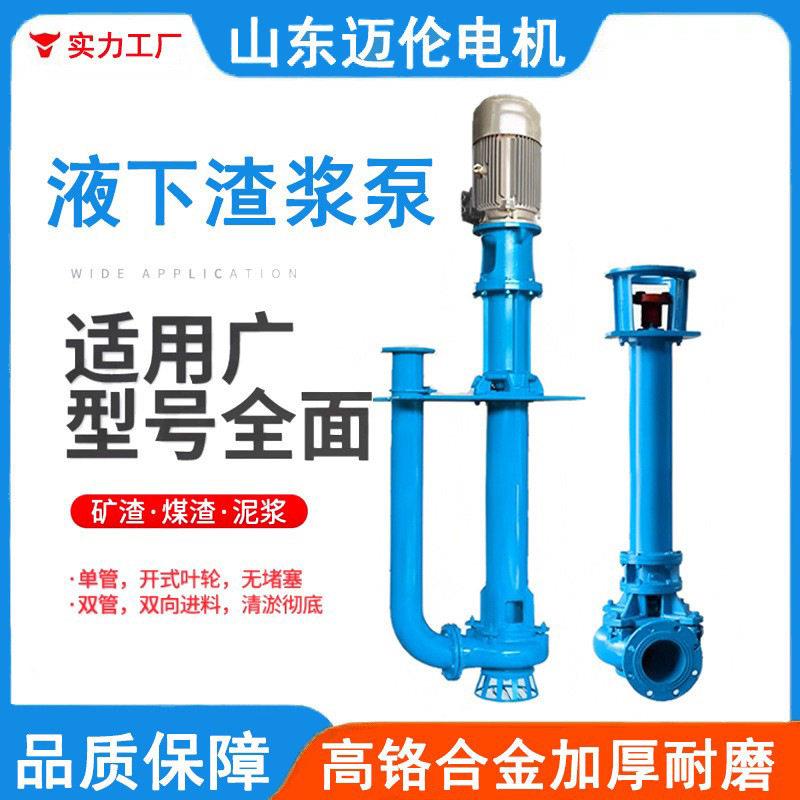 液下渣浆泵无堵塞排污泵耐磨耐腐污水泵吸污三相泥浆沙粒泵泵王