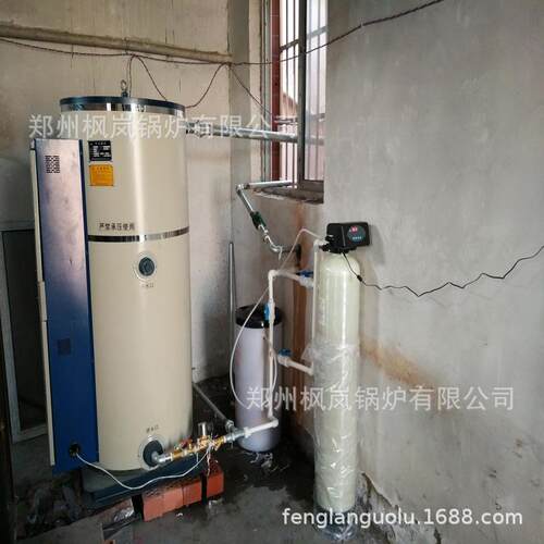 中小型企业供暖 FLK-1000YQ立式燃油气热水锅炉 枫岚锅炉