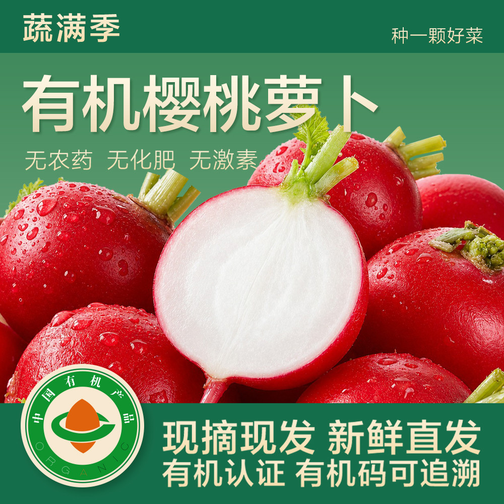 蔬满季有机樱桃萝卜有机认证顺丰
