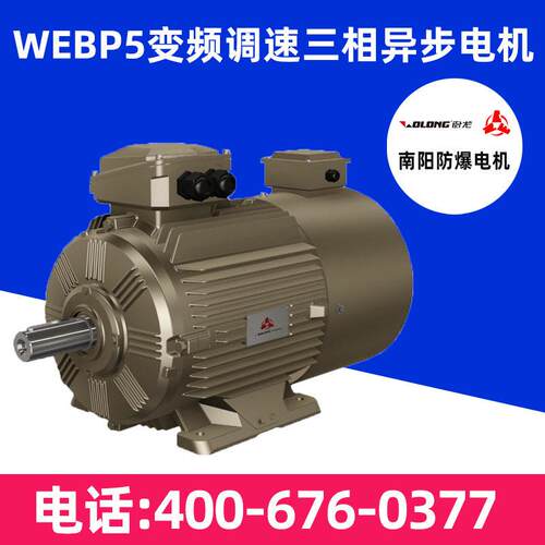 卧龙电气南阳电机WEBP5系列变频调速三相异步电动机