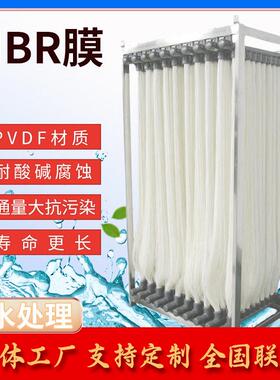 MBR膜中水回用一体化污水处理帘式膜生活工业废水处理PVDF膜片