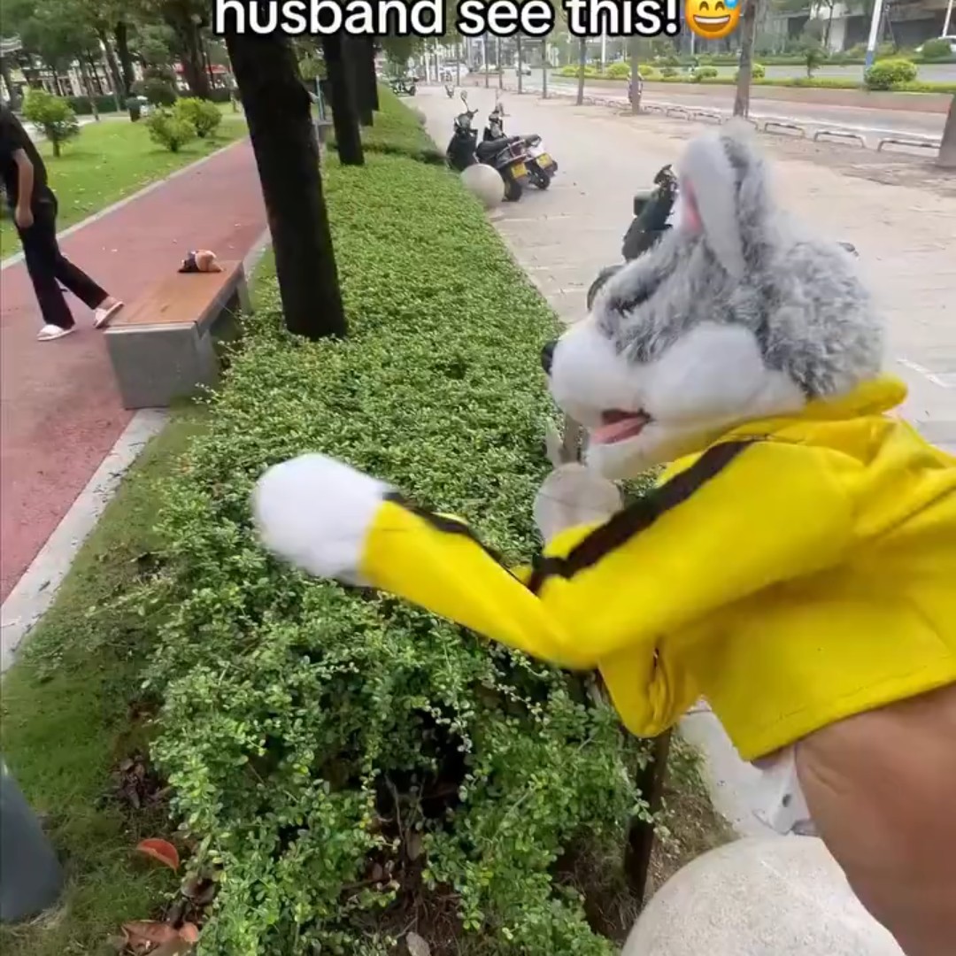 哈士奇毛绒拳击音效手偶