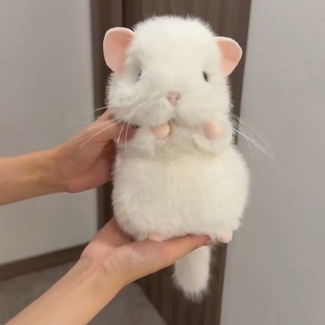 可爱仿真龙猫毛绒公仔抱枕礼物