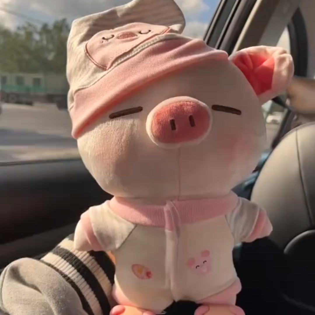 可爱软萌小猪毛绒公仔生日礼物