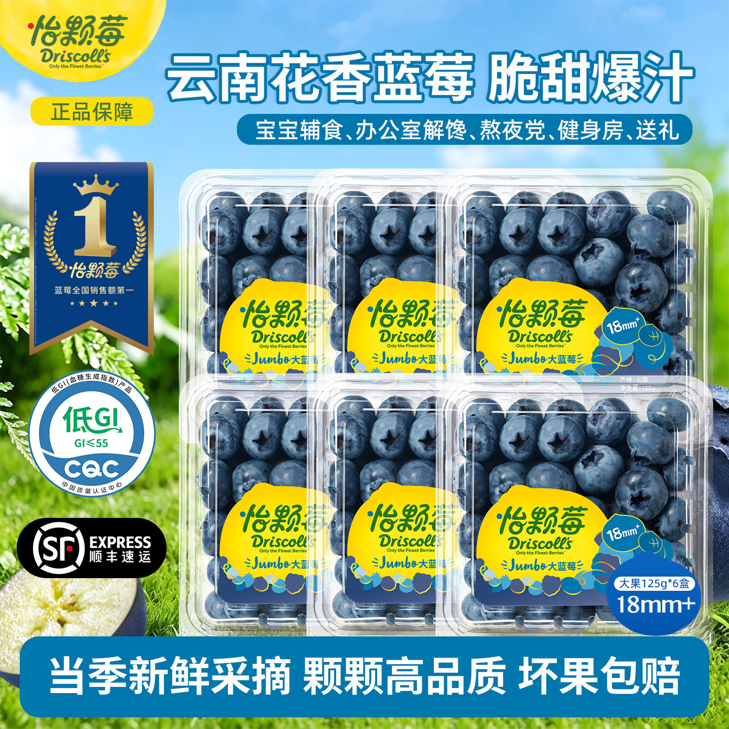 Driscoll's怡颗莓新鲜蓝莓水果