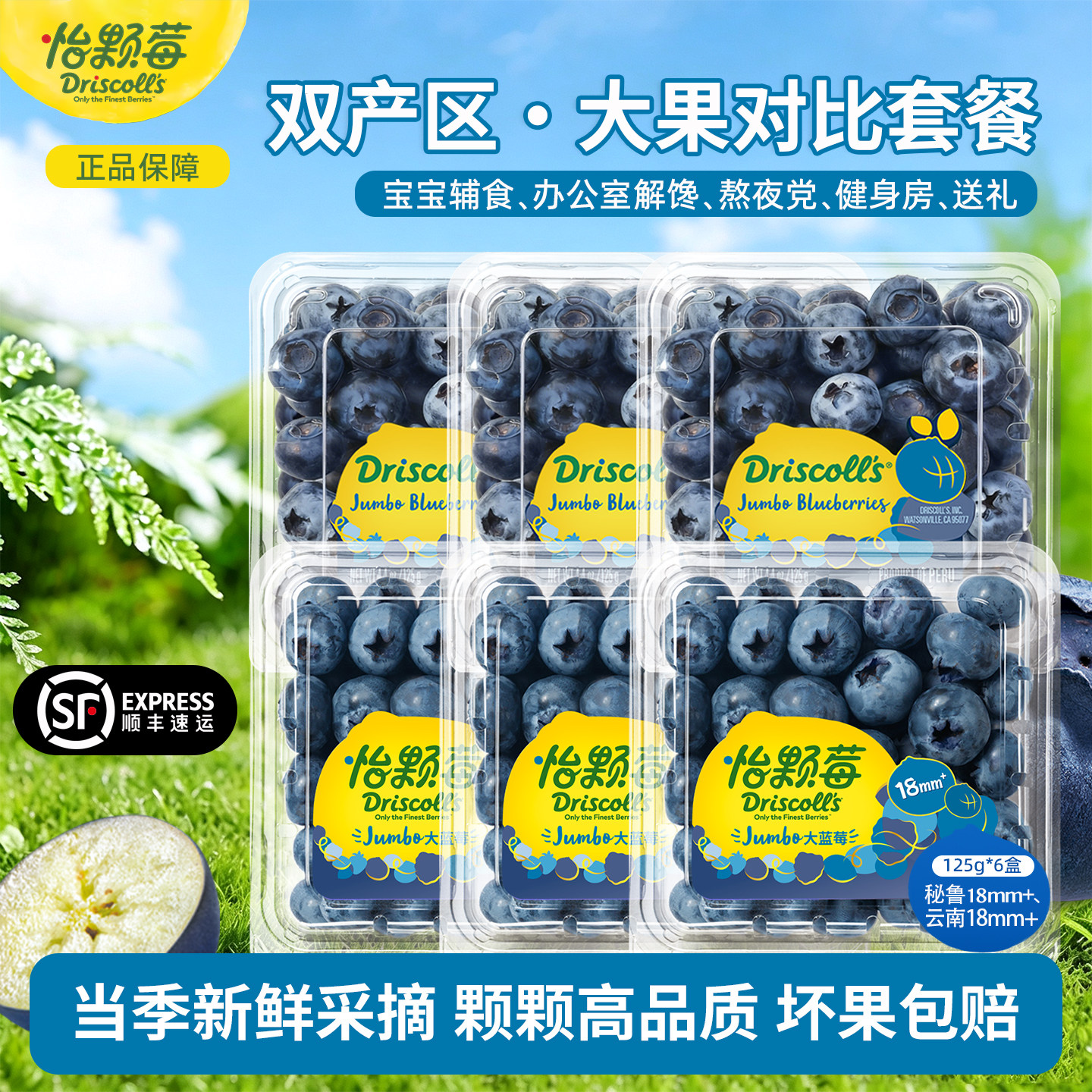 Driscoll's怡颗莓蓝莓