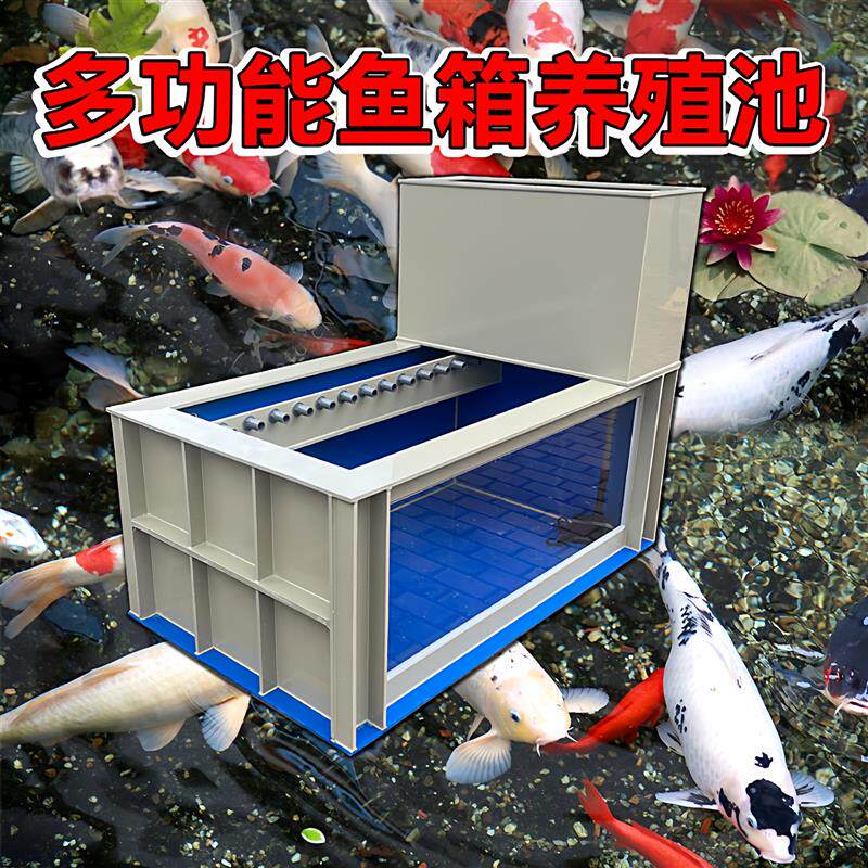 大型超白玻璃观赏锦鲤鱼池巨舌骨鱼缸耐撞加厚大缸轻体pp塑料鱼箱