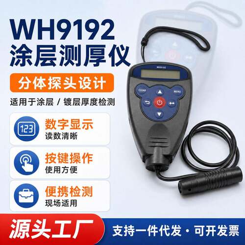 WH91/92铁铝双基Fe/NFe涂层测厚仪分体式探头涂镀层漆膜测厚仪