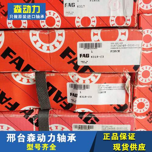 FAG 6319-C3 德国进口轴承318 317 316 315 314 313 6300 M J20AB