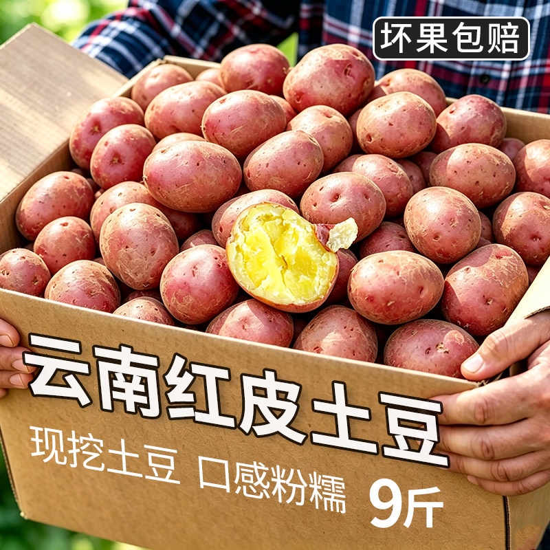 云南新鲜高山红皮黄心土豆