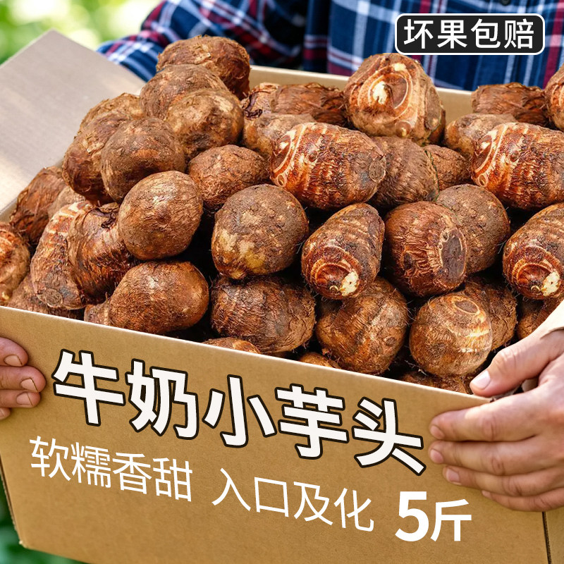 山东奶香小芋头26年新鲜芋