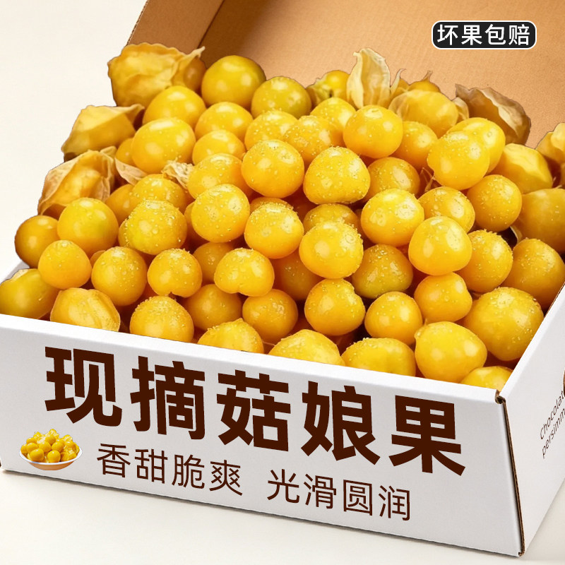 姑娘果新鲜灯笼果新鲜水果姑鸟果花姑娘水果东北特产整箱现摘包邮