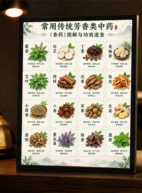 常用传统芳香类中药功效速查相框中医馆书房桌面装饰摆台挂画