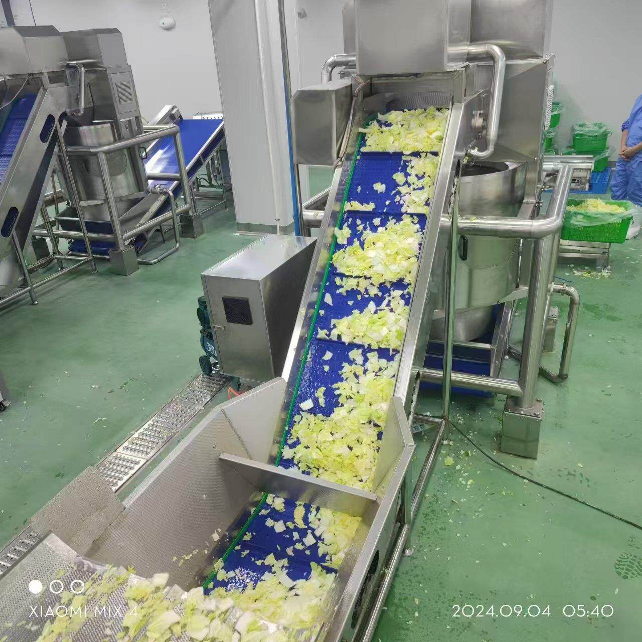 广西水笋气泡清洗机 笋干浸泡机 板栗清洗机 蔬菜气泡清洗机