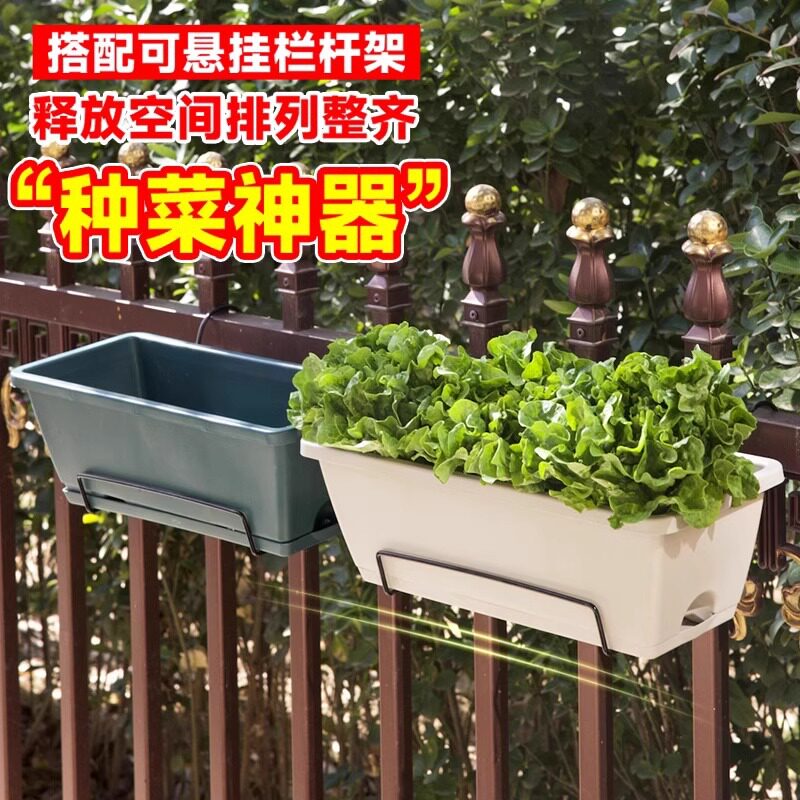 阳台种菜长方形花盆霍伦盆家庭塑料蔬菜种植盆长条槽盆栽加厚耐用