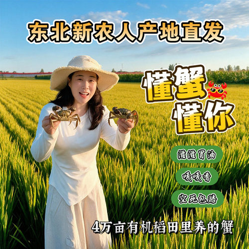 盘锦稻田蟹鲜活大闸蟹足斤足两