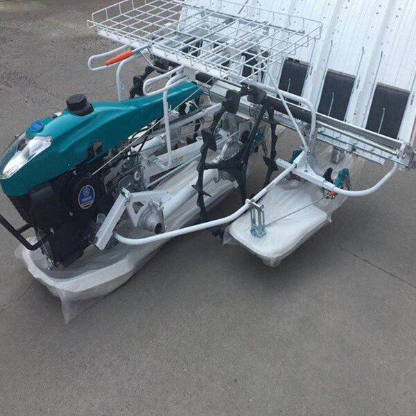 手扶式插秧机农田水田种植小型家用多行秧苗栽种农机具